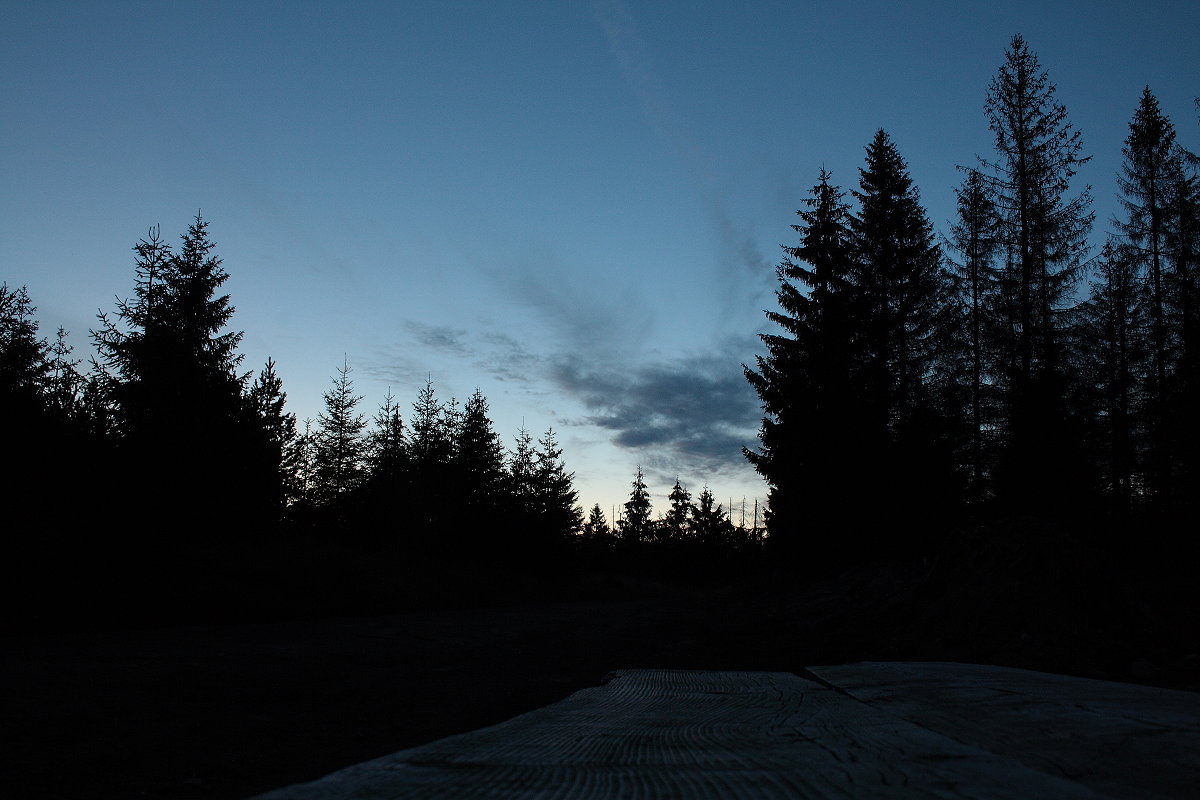 Nach Sonnenuntergang an einer kleinen Raststätte in der Nähe des Grünen Bandes, wo der Wald noch ungefähr so aussieht wie vor Jahren; Aufnahme vom 19.08.2020...