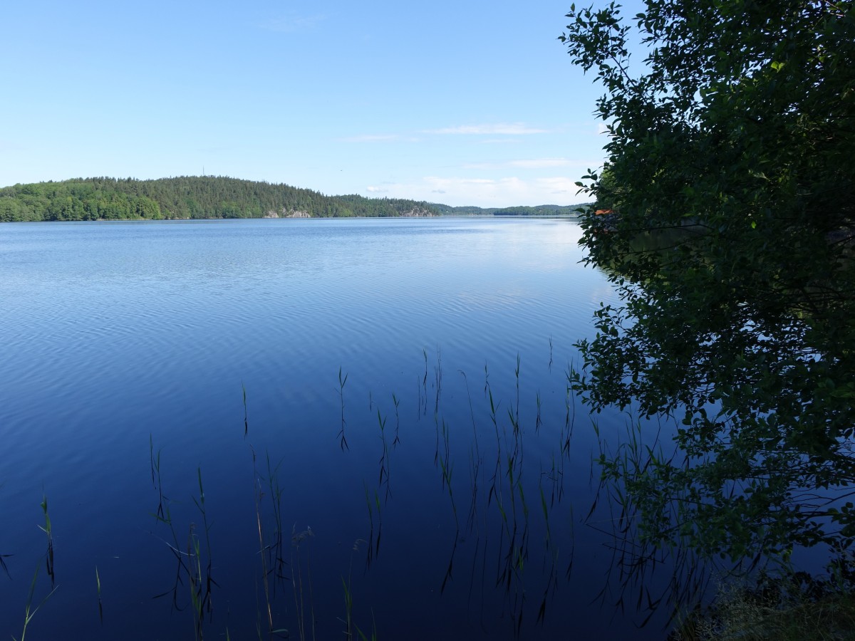 Nääs See bei Alingsäs (20.06.2015)