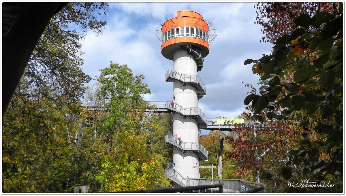 Nationalpark Hainich in Thüringen, Ende September 2019. Im Bild der Aussichtsturm im Baukronenpfad.