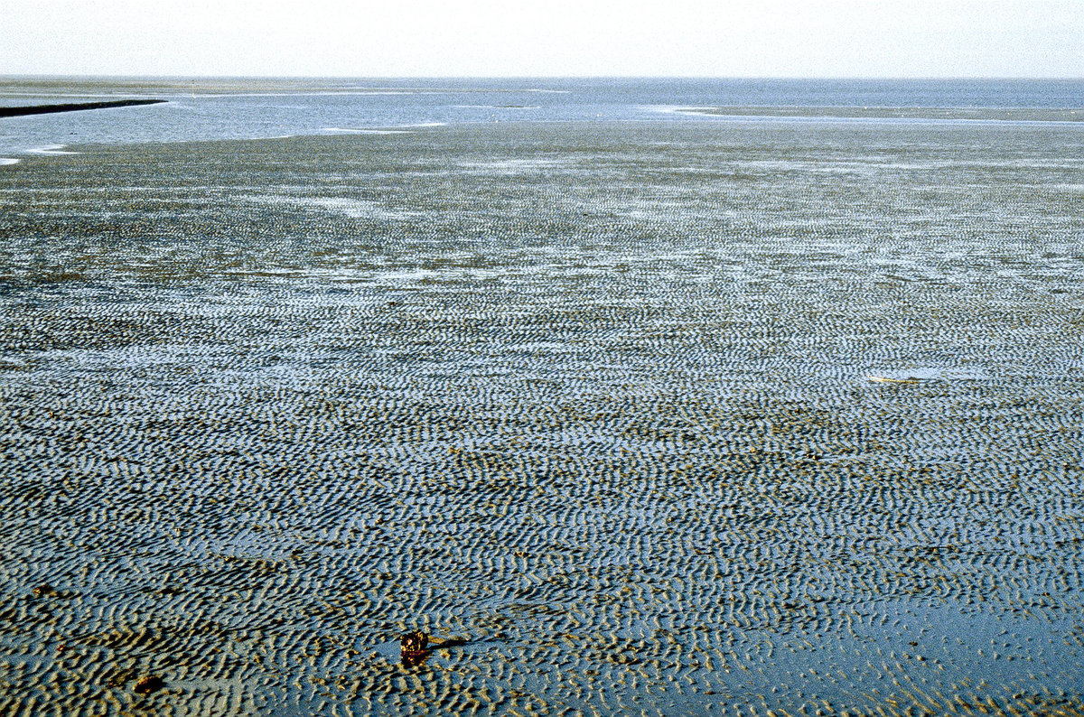 Nationalpark Schleswig-Holsteinisches Wattenmeer nördlich von der Insel Pellworm. Bild vom Dia. Aufnahme: Januar 2000.