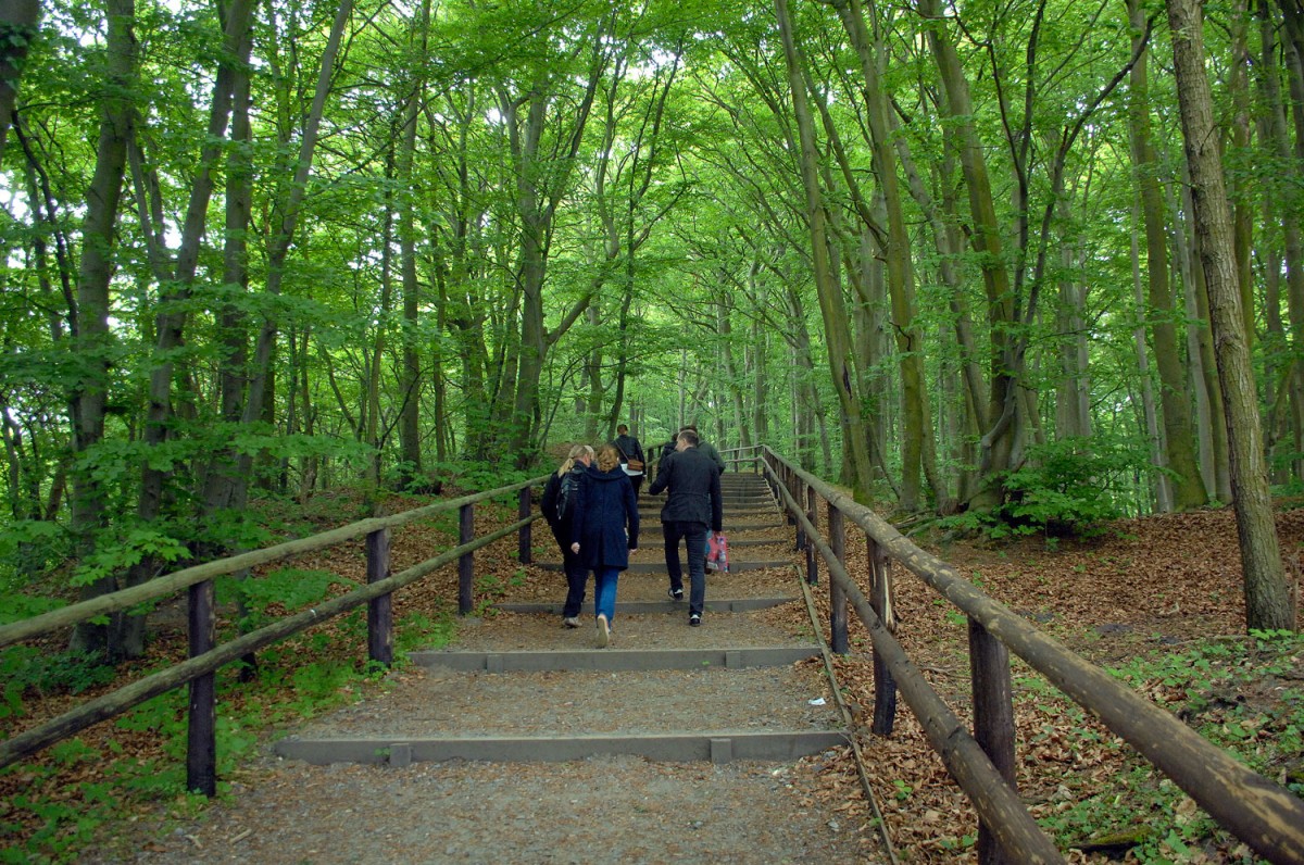 Nationalpark Wollin, Hinterpommern, Polen.

Aufnahmedatum: 23. Mai 2015.