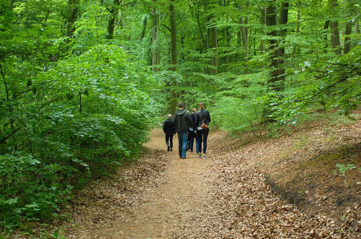 Nationalpark Wollin, Hinterpommern, Polen.

Aufnahmedatum: 23. Mai 2015.