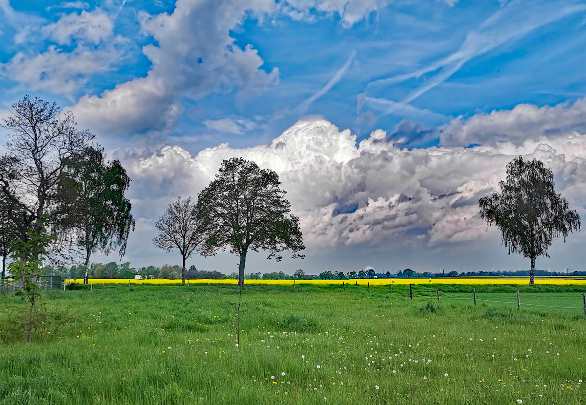 Natur pur, Wiese, Rapsfeld, Bäume und Wolken am 05.05.2023