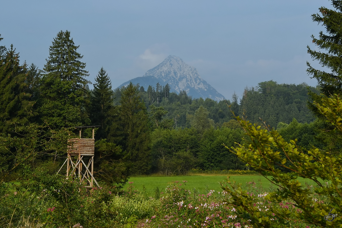 Naturidylle im Salzburger Land. (August 2019)