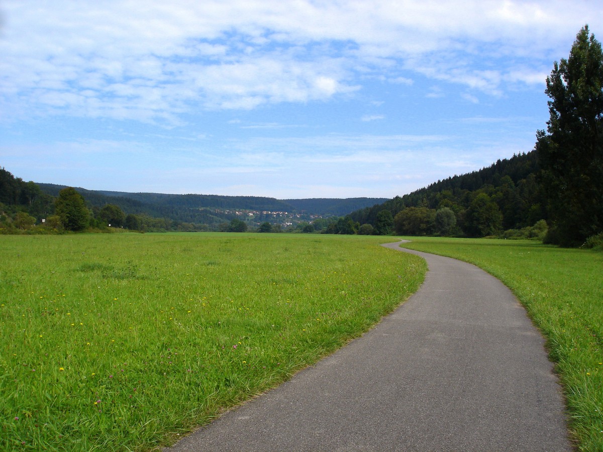 Naturpark Obere Donau, das weite Donautal mit dem Donauradweg fluabwrts vor Tuttlingen, Aug.2007