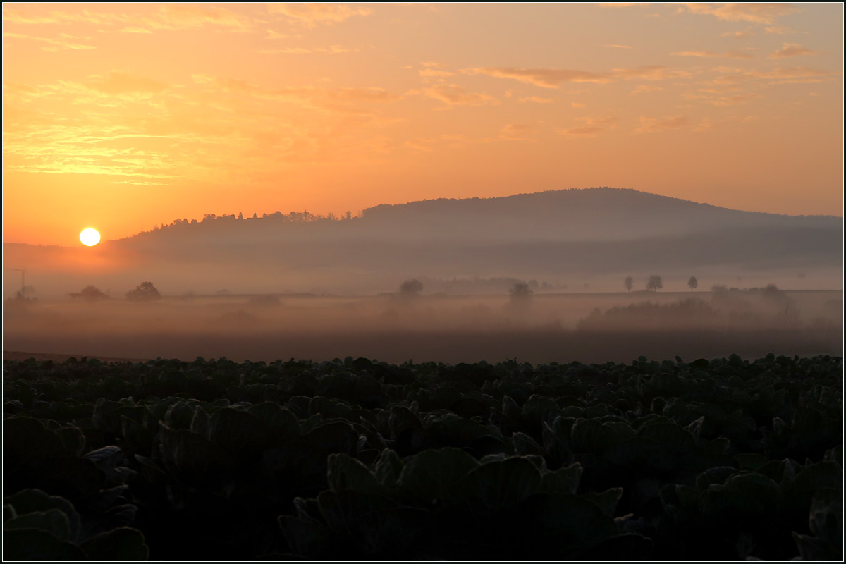 Nebel im Beibachtal -

Zwischen Kernen-Rommelshausen und Weinstadt-Endersbach.

09.11.2020 (M)