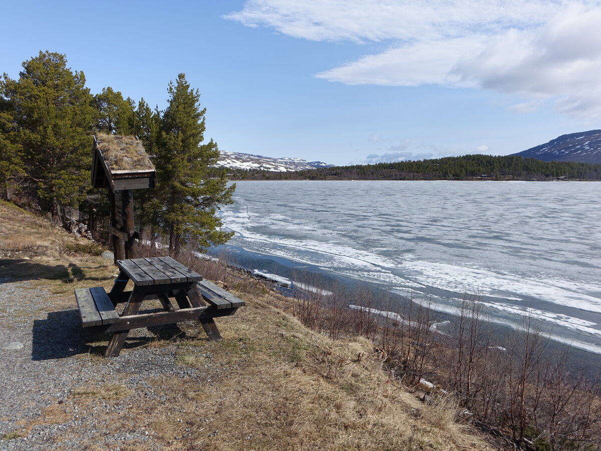 Nedre Sjodalsvatnet See an der Straße 51, Innlandet (25.05.2023)