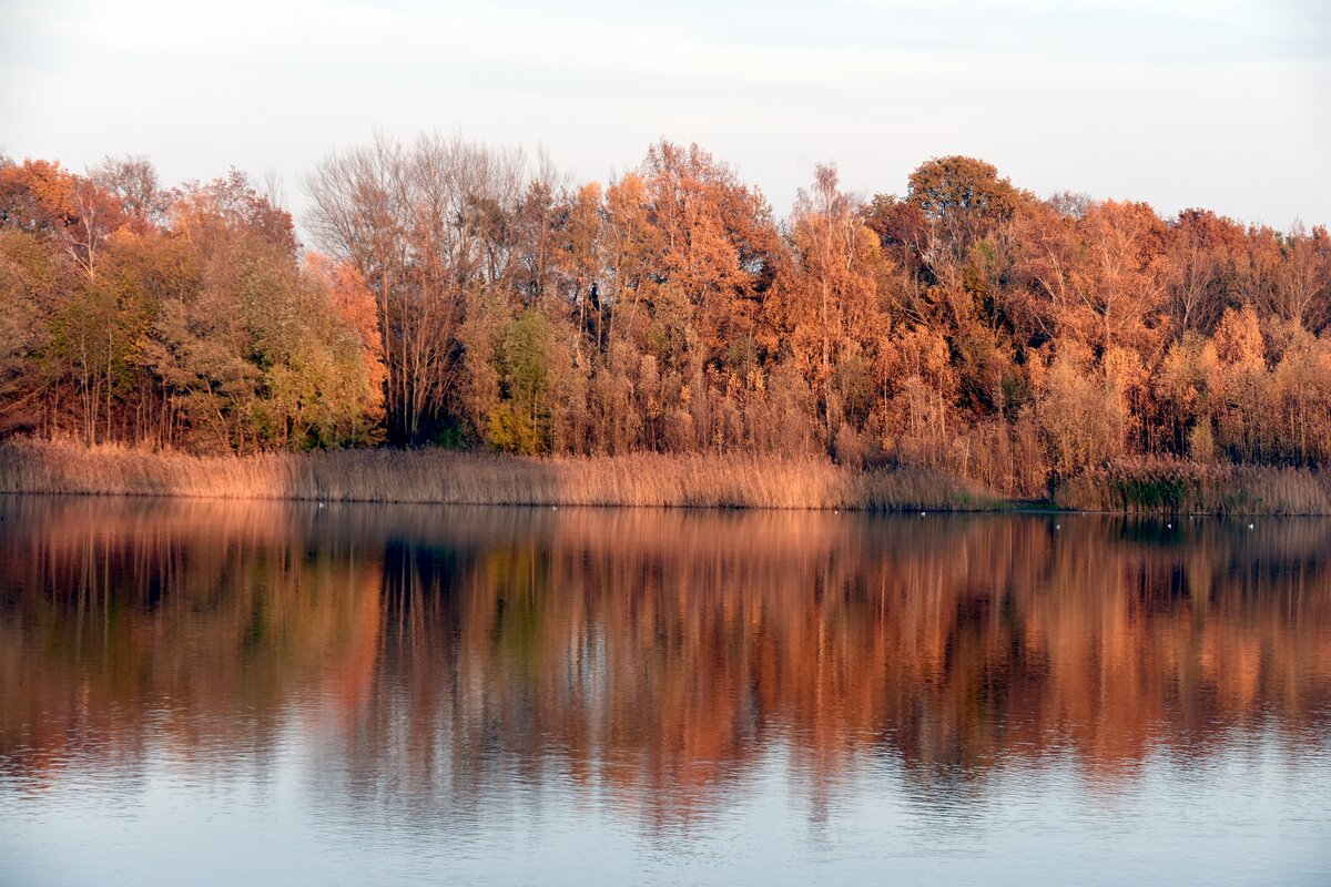 NEUENKIRCHEN (Kreis Steinfurt), 24.11.2019, am Offlumer See, ein durch Kies- und Sandabbau entstandener Baggersee