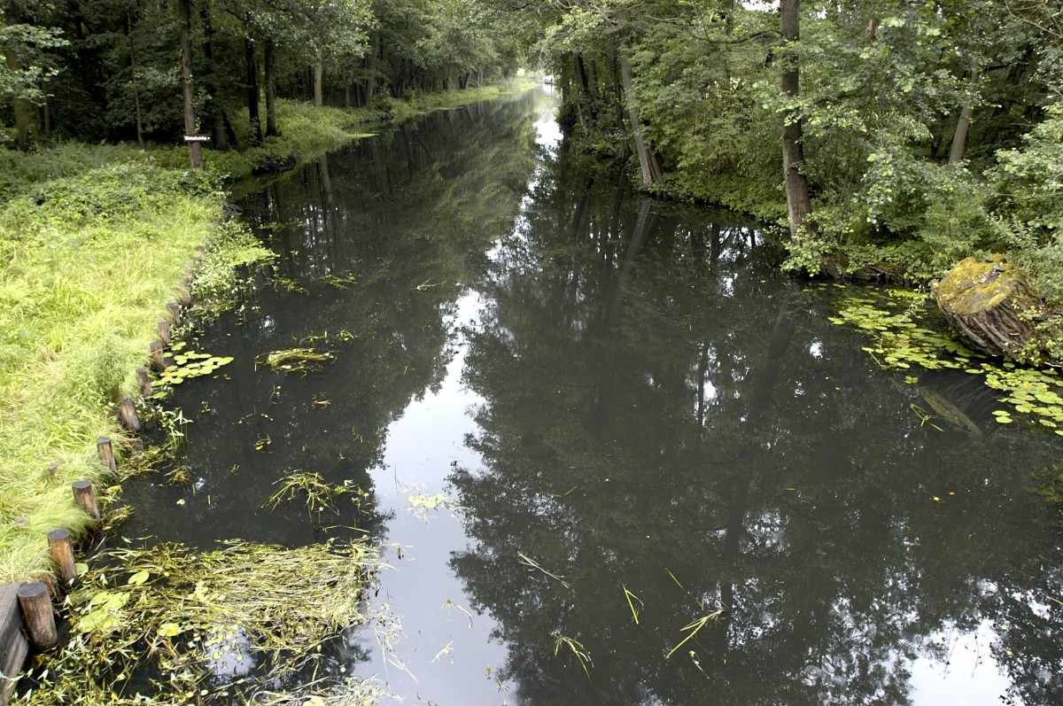 Neuer Kanal im Spreewald. Aufnahme: Juli 2006.