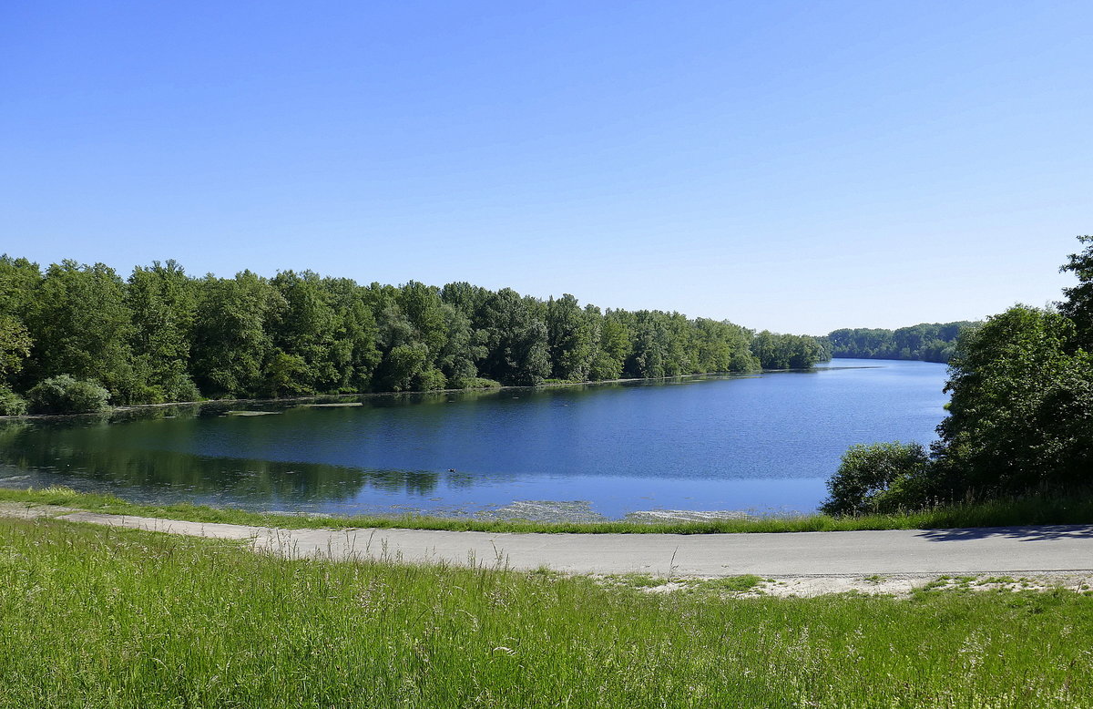 Neuried-Altenheim, Blick auf den Altrhein beim Europäischen Forum, Mai 2020