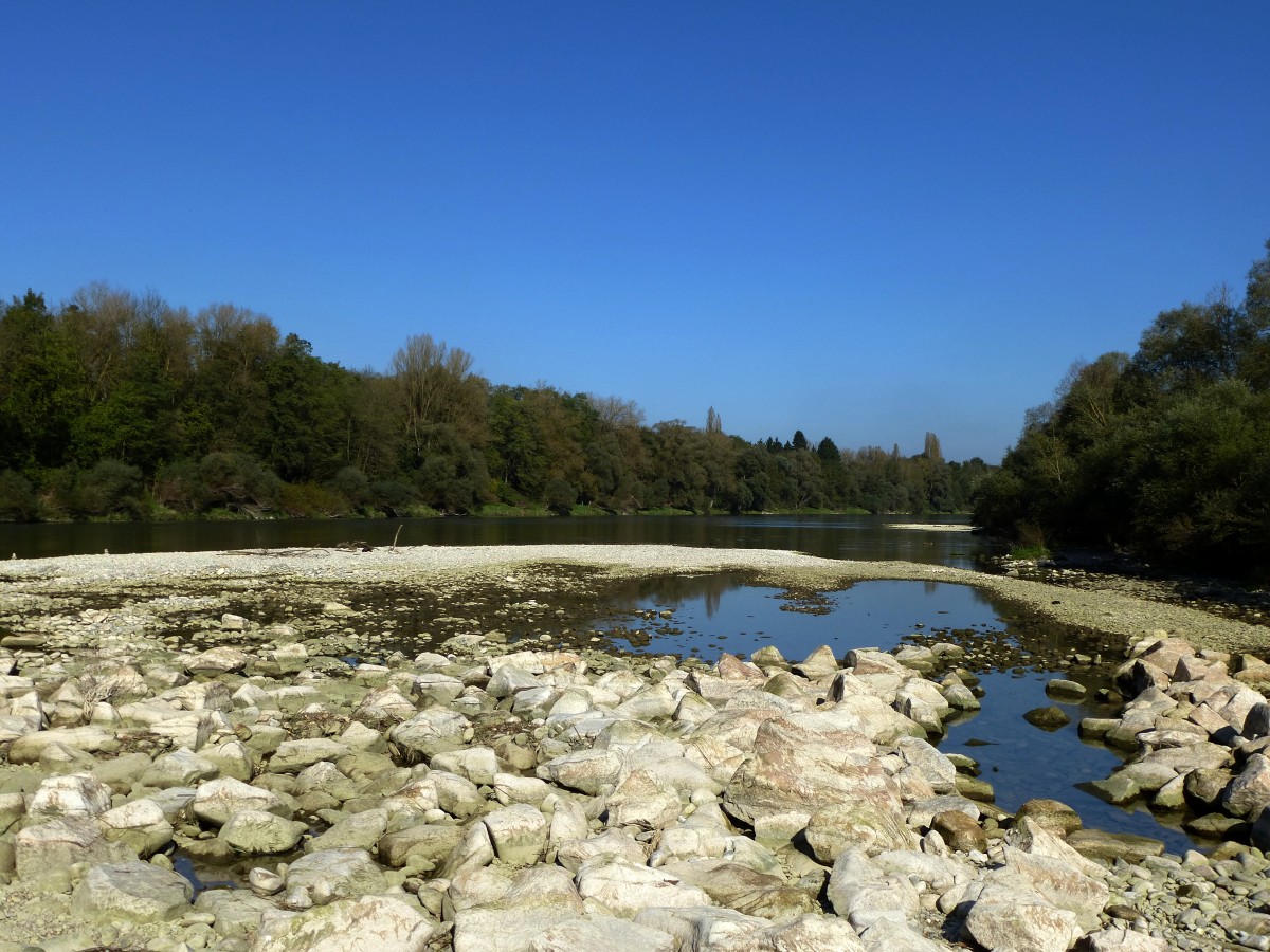 Niedrigwasser im Altrhein bei Griheim, Okt.2014