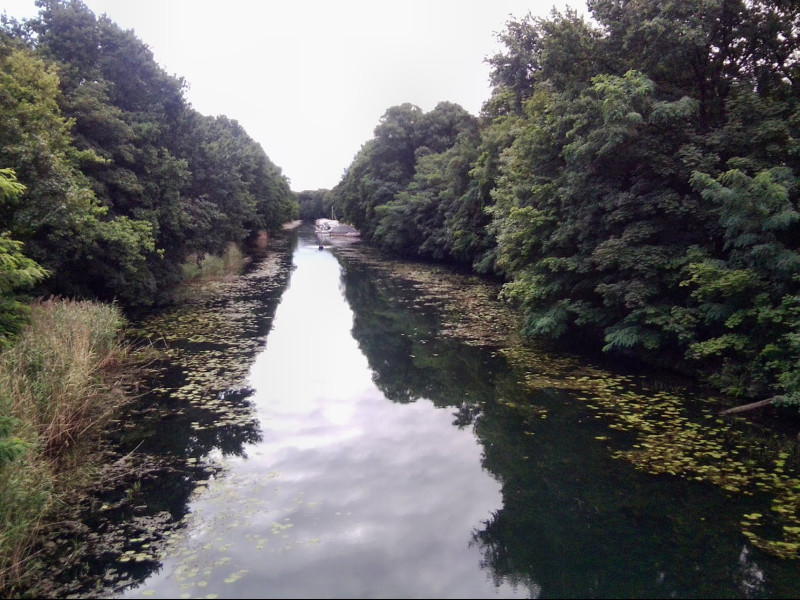 Niegripper Altkanal bei Burg bei Magdeburg am 12.09.2015