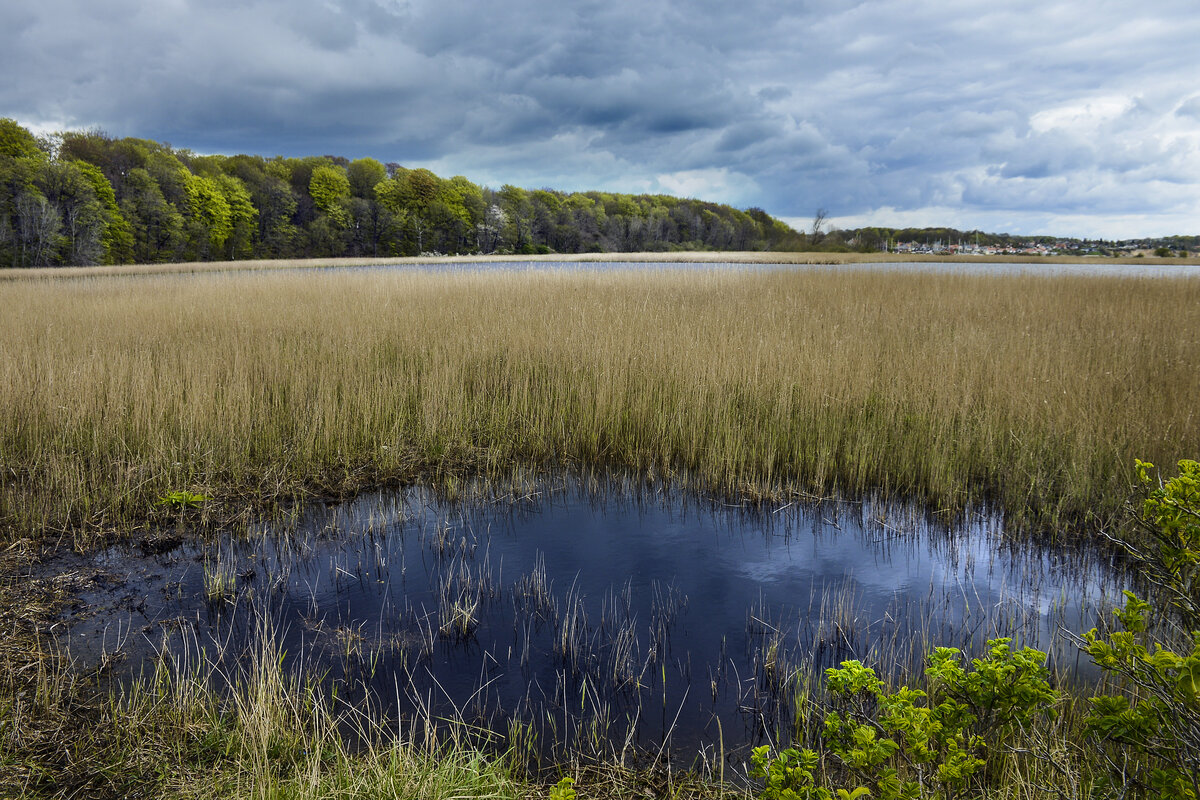 Nordschleswig (Sønderjylland): Am Übergang der Flensburger Förde zu Meeresbucht Hørup Hav, welche die Insel Alsen und die Halbinsel Kegnæs (Kekenis) trennt, liegt die Landzunge Trillen. Aufnahme: 23. april 2024.