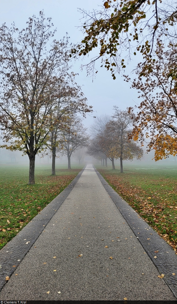 November-Stimmung an einem Sonntagvormittag auf der Herrenbreite in Aschersleben.

🕓 13.11.2022 | 10:28 Uhr