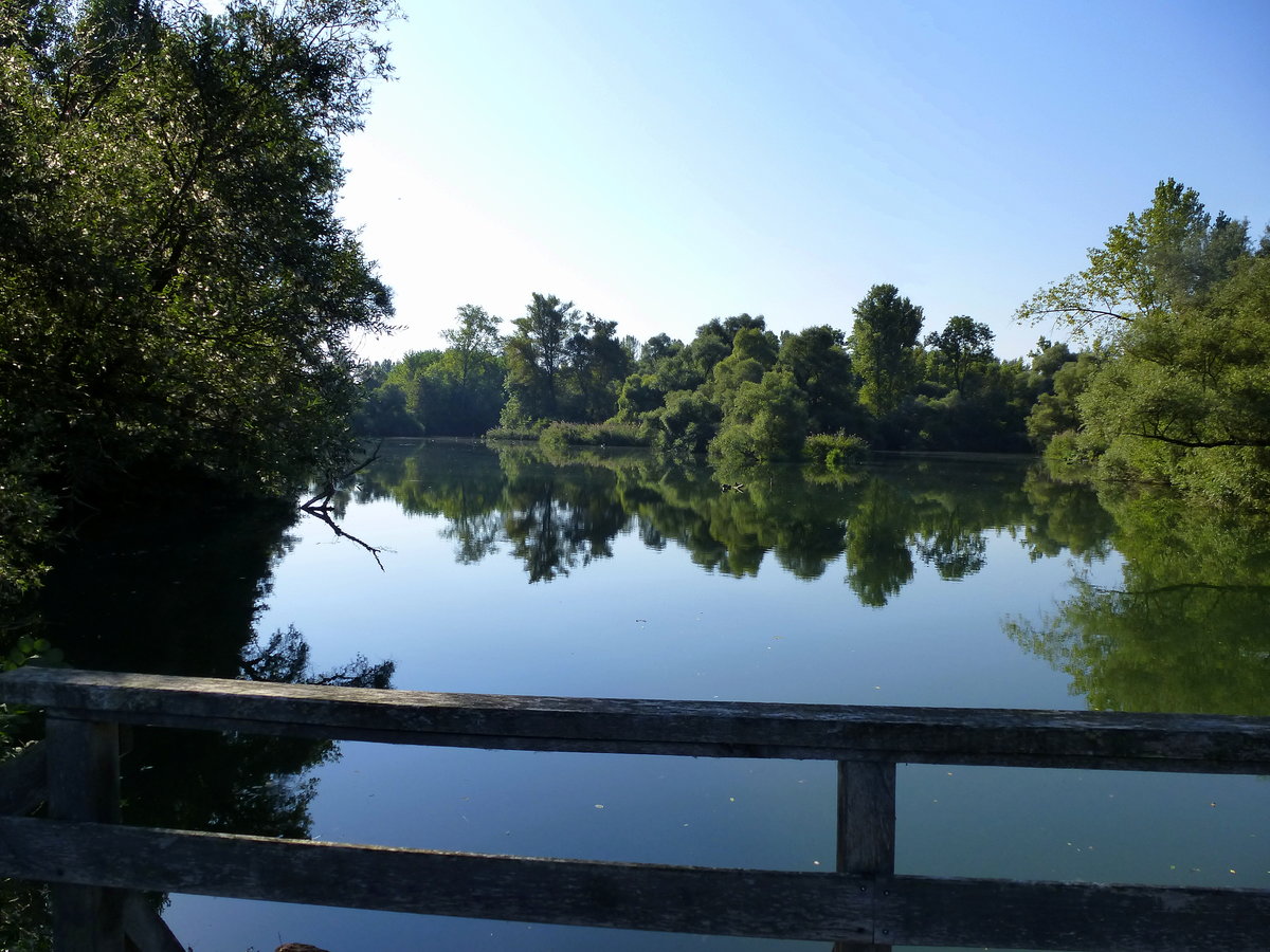 NSG Taubergieen am Oberrhein, Sept.2016