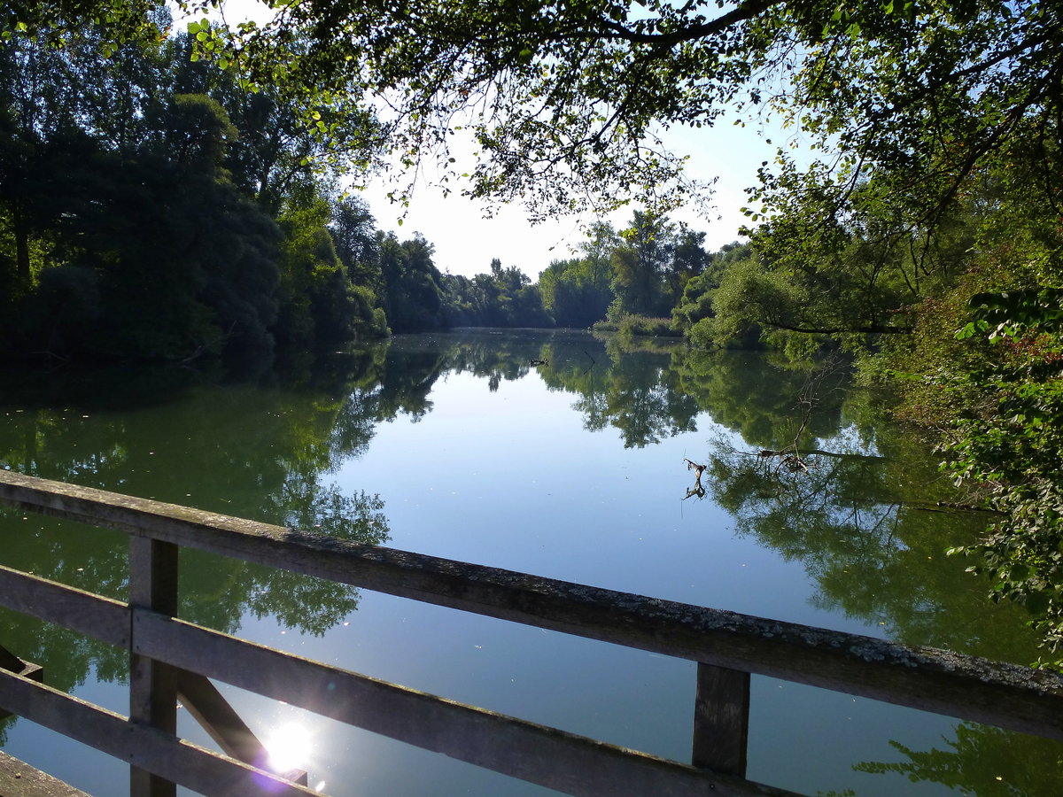 NSG Taubergieen am Oberrhein, Sept.2016