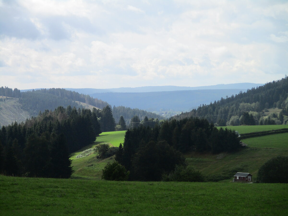 Nur mal eine kleine Pause auf dem Rastplatz und schon hat man in Thüringen ein Bild auf dem Speicher.Aufgenommen bei Cursdorf am 28.Mai 2020