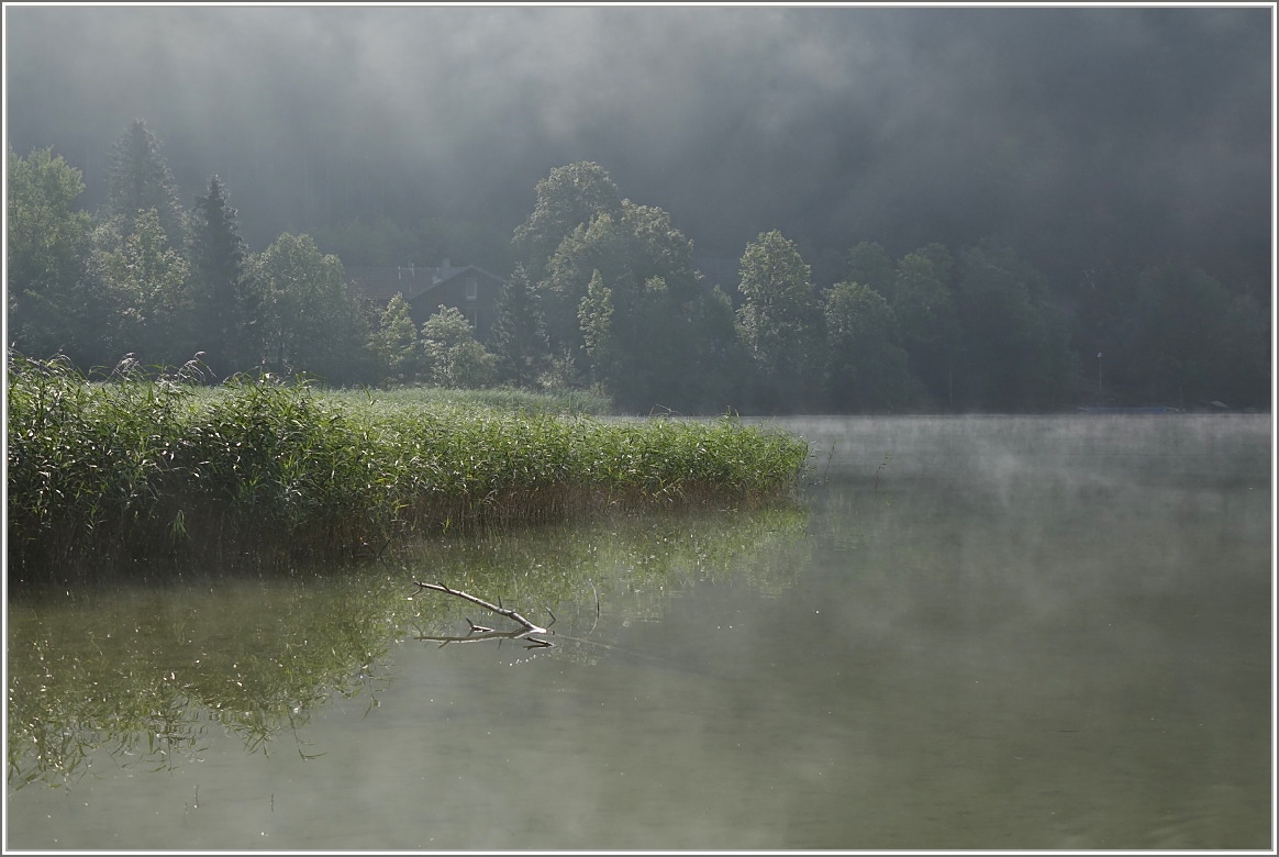 Nur zögerlich weicht der Nebel über dem Lac de Joux den wärmenden Sonnenstrahlen
(05.09.2014)