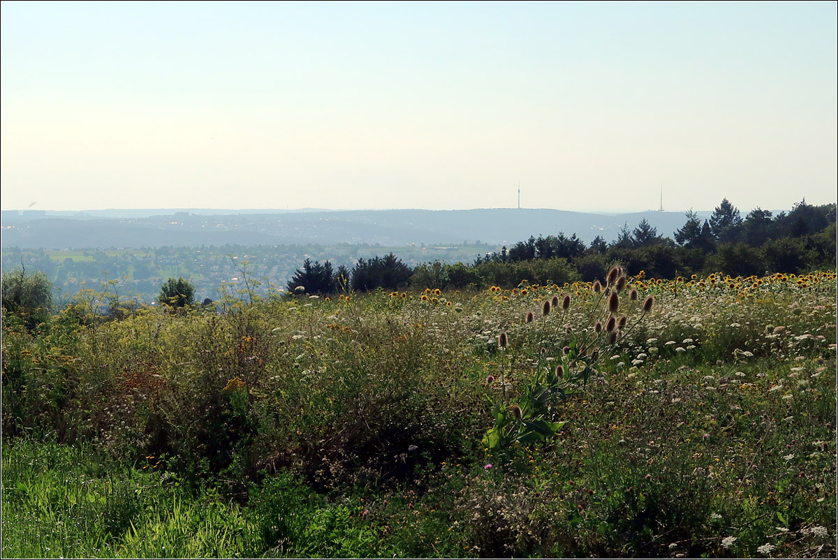 Oberhalb von Esslingen auf der Schurwaldhöhe geht der Blick in über das Neckartal hinweg zum Stuttgarter Fernsehturm und dem Fernmeldeturm.

12.08.2021 (M)