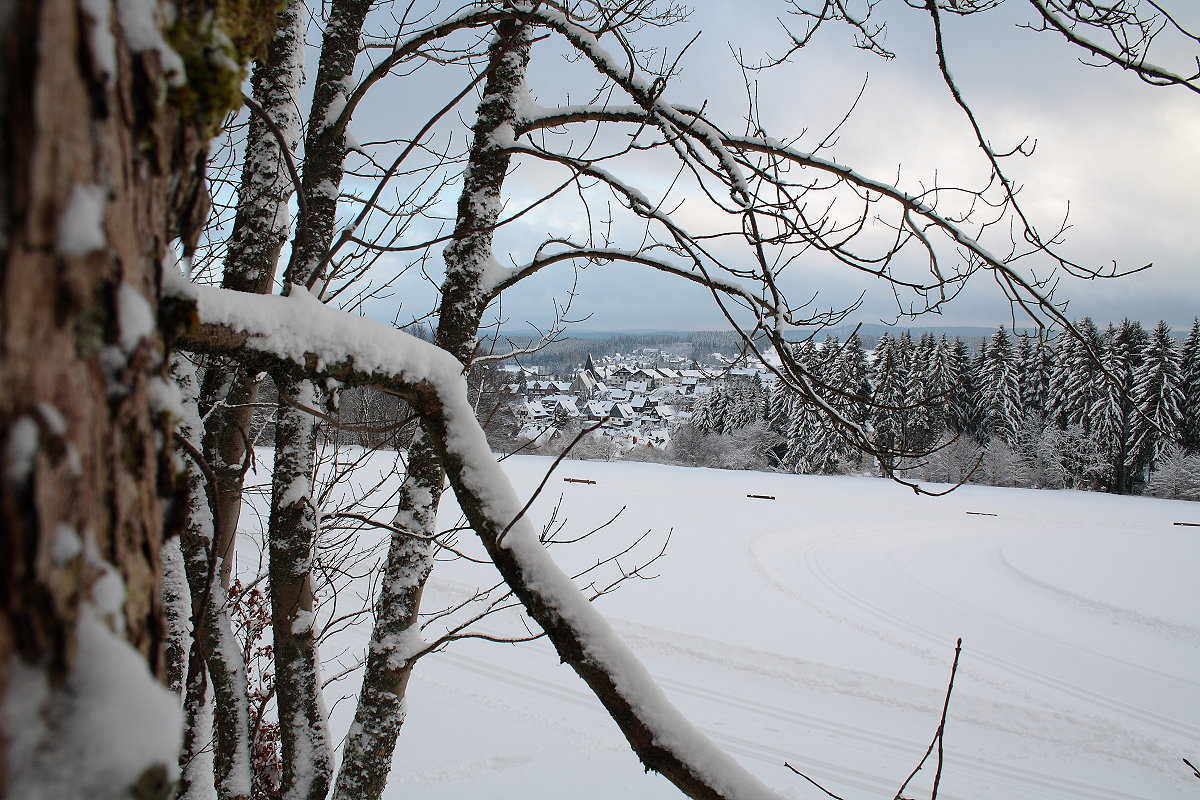 Oberharz im Winter mit Braunlage-Süd im Wald; Blick am späten Nachmittag des 15.12.2017 von der Alten Harzburger Straße aus...