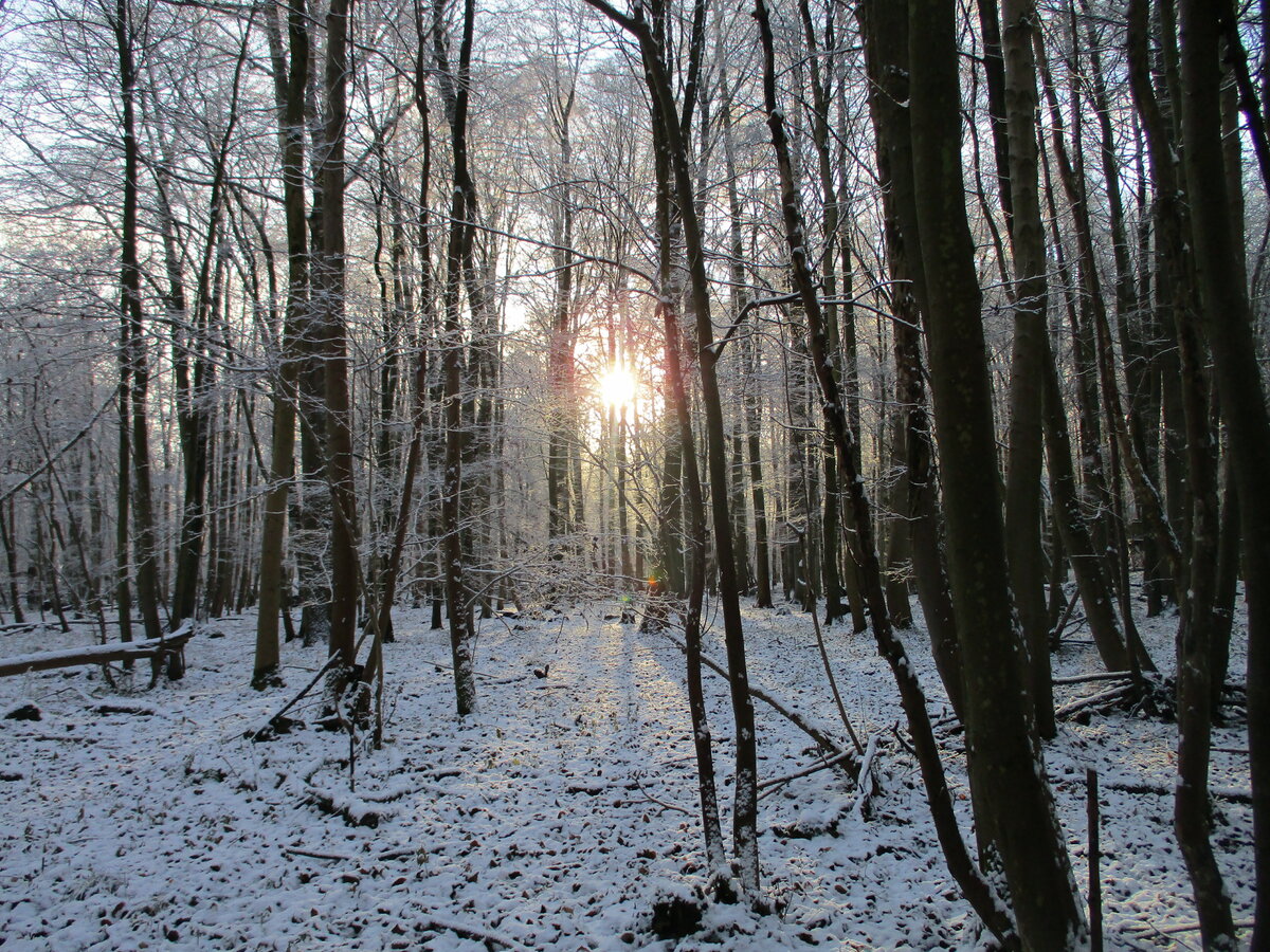 Obwohl die Sonne,am 21.Dezember 2021,durch den Tilzow schien,blieb der Schnee ein paar Tage liegen.