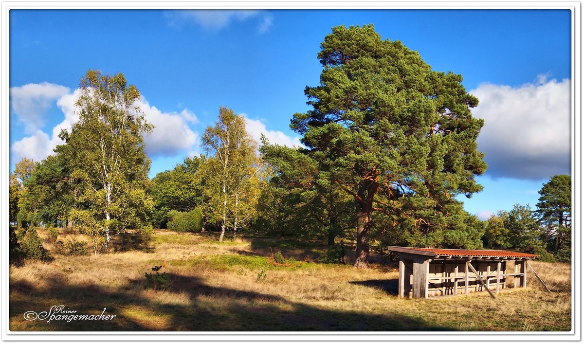 Oktober 2018, ein heißes und extrem trockenes Jahr liegt nun bald hinter uns. Im Bild ein Bienenunterstand in der Haverbecker Heide bei sommerlichen Temperaturen wie man sie sonst nur aus dem August kennt. Naturschutzgebiet Lüneburger Heide.