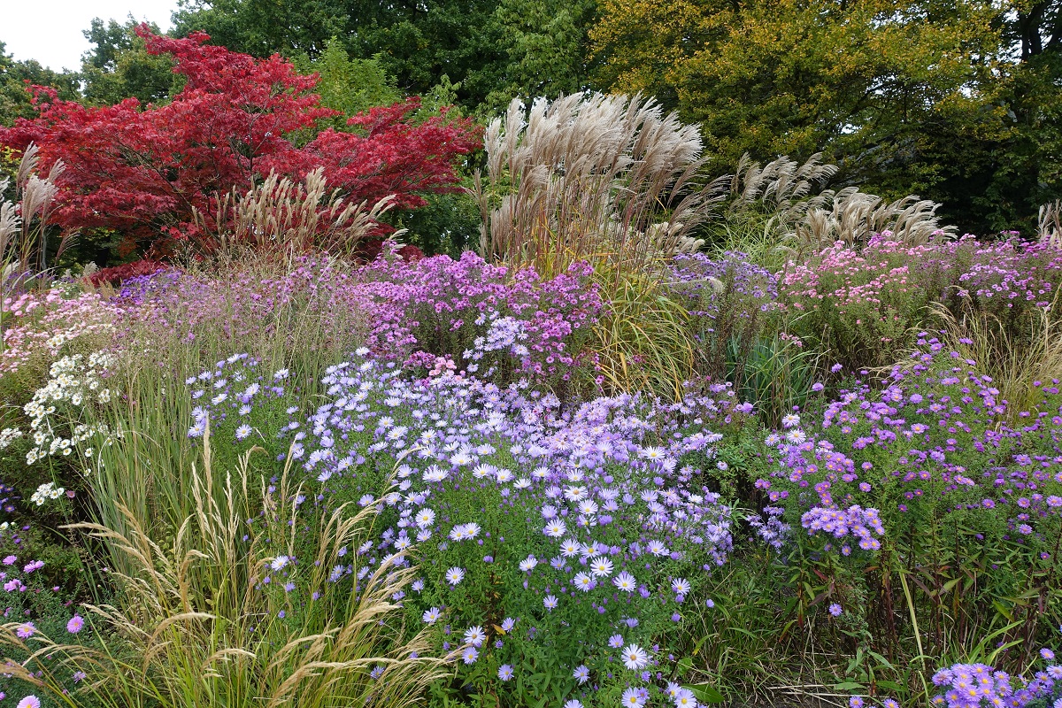 Oktober in Hamburg im Park Planten un Blomen am 11.10.2020 /