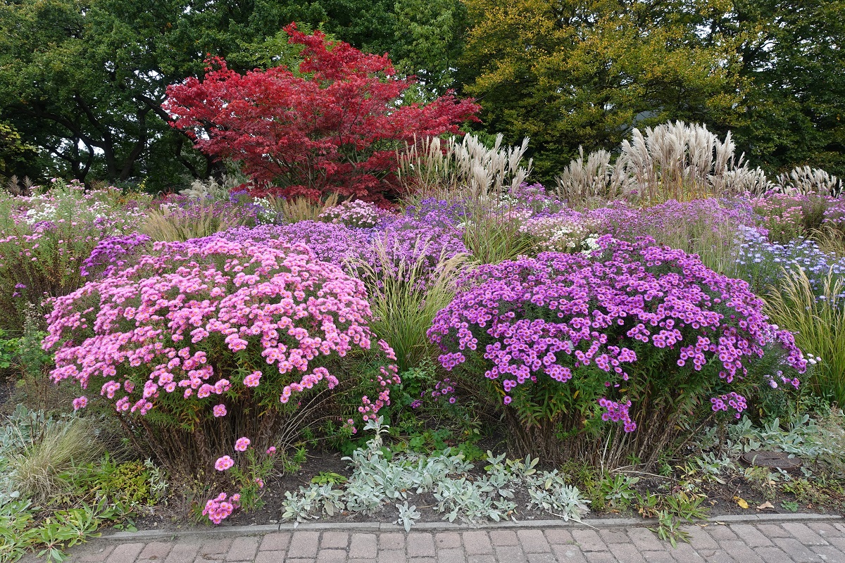 Oktober in Hamburg im Park Planten un Blomen am 11.10.2020 /