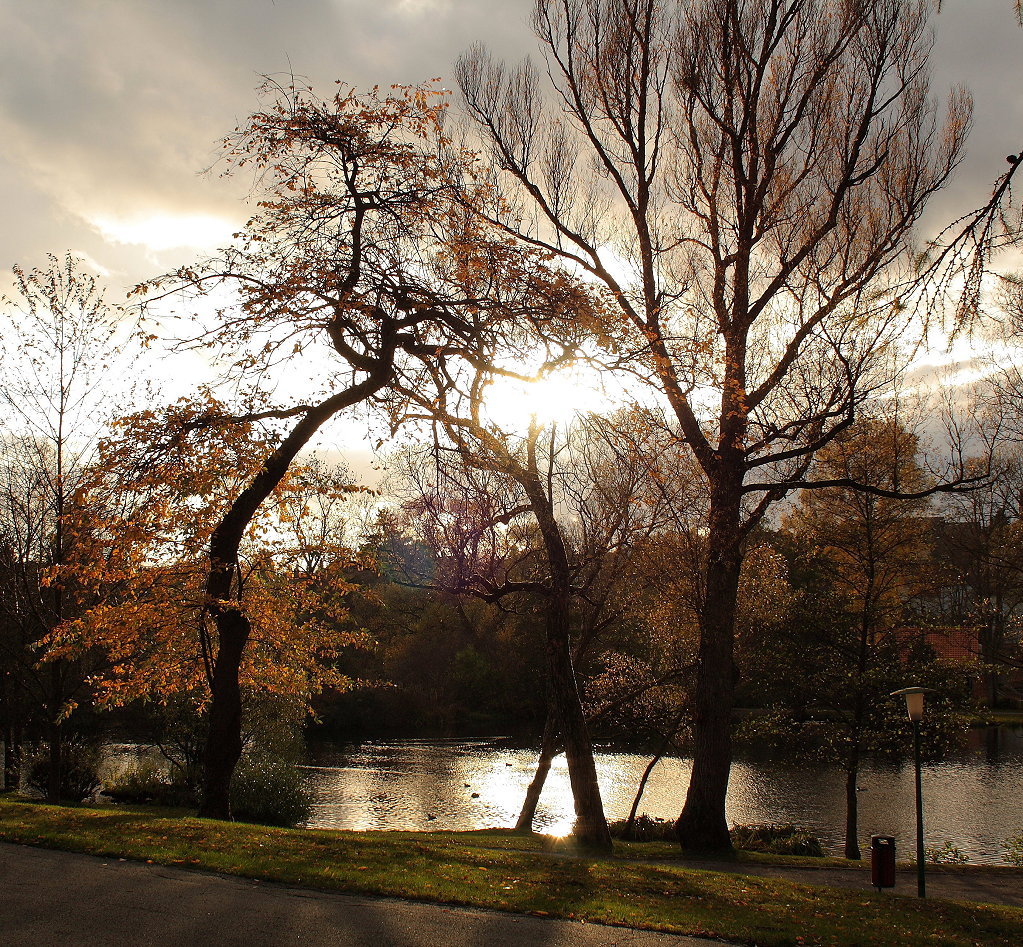 Oktoberabend in Braunlage: Bume und Teich im Kurpark im Gegenlicht der Sptnachmittagssonne; Aufnahme vom 29.10.2013...