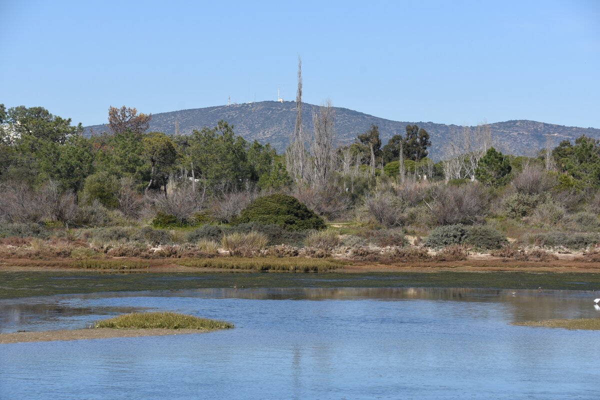 OLHÃO, 05.02.2019, im Naturschutzgebiet Ria Formosa östlich der Stadt; mit Blick auf den Cerro de São Miguel (411m)