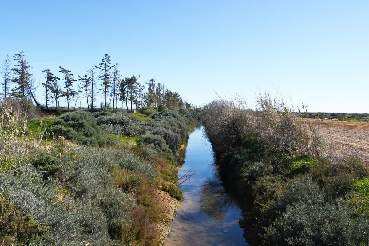 OLHÃO, 17.02.2022, Spaziergang durch die Ria Formosa