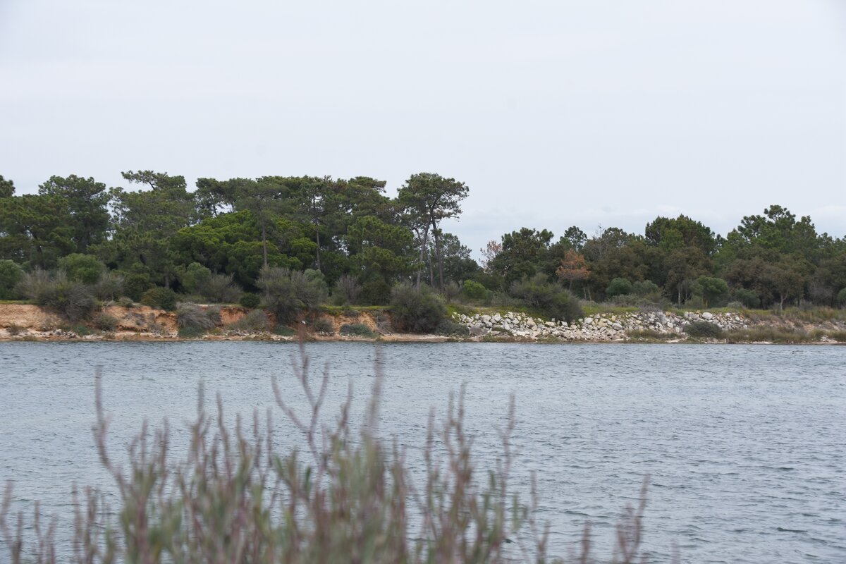 OLHÃO, 18.03.2022, im Naturschutzgebiet Ria Formosa östlich der Stadt