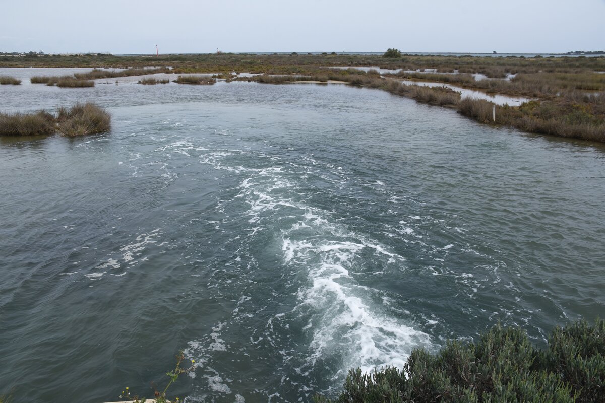 OLHÃO, 18.03.2022, im Naturschutzgebiet Ria Formosa östlich der Stadt