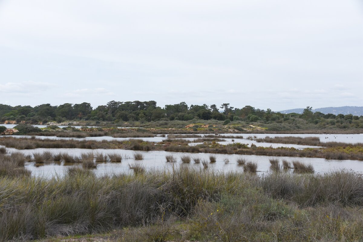 OLHÃO, 18.03.2022, im Naturschutzgebiet Ria Formosa östlich der Stadt