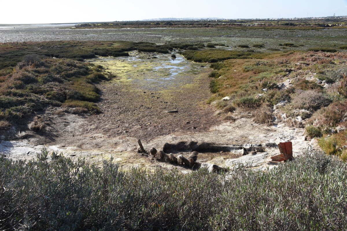 OLHÃO, 27.01.2022, bei Ebbe in der Ria Formosa