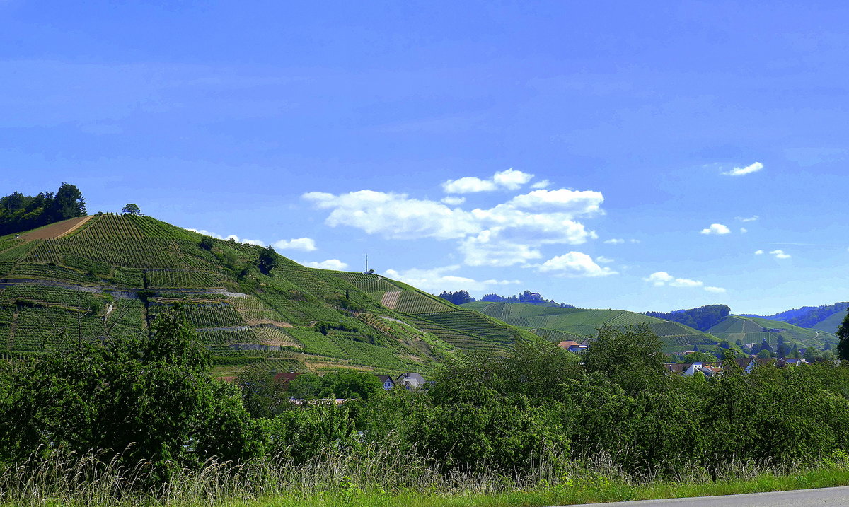 Ortenau, Blick auf die Weinberge beim Winzerort Durbach, Juni 2020