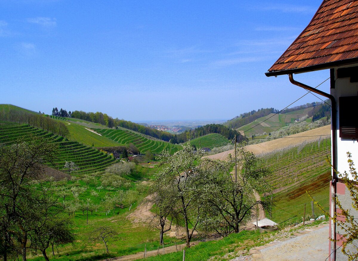 Ortenau, Blick vom Gasthaus  Hummelswälder Hof  nordwärts ins Weidenbachtal Richtung Bottenau, April 2006 