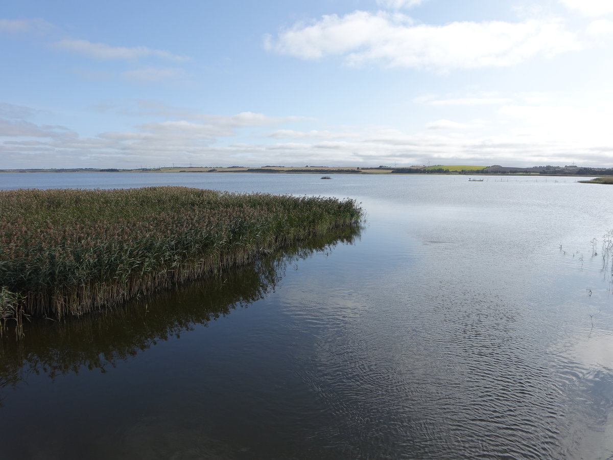 Orum See bei Ljodbjerg im Nationalpark Thy (19.09.2020)