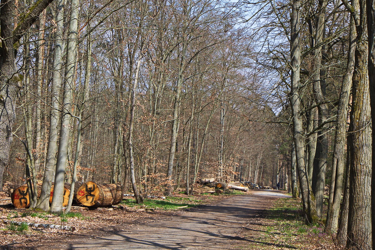 Ostersonntag der 09. April 2023 Blick in den Neuen Schildhornweg nahe dem S-Bahnhof Grunewald.