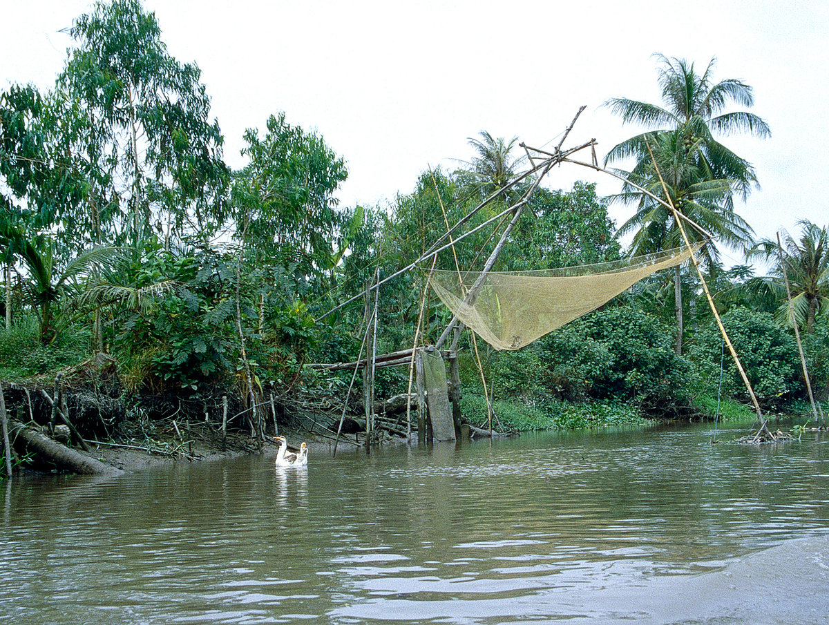Palmen und Fischernetz im Mekong-Delta von Vietnam. Bild vom Dia. Aufnahme: Januar 2001.