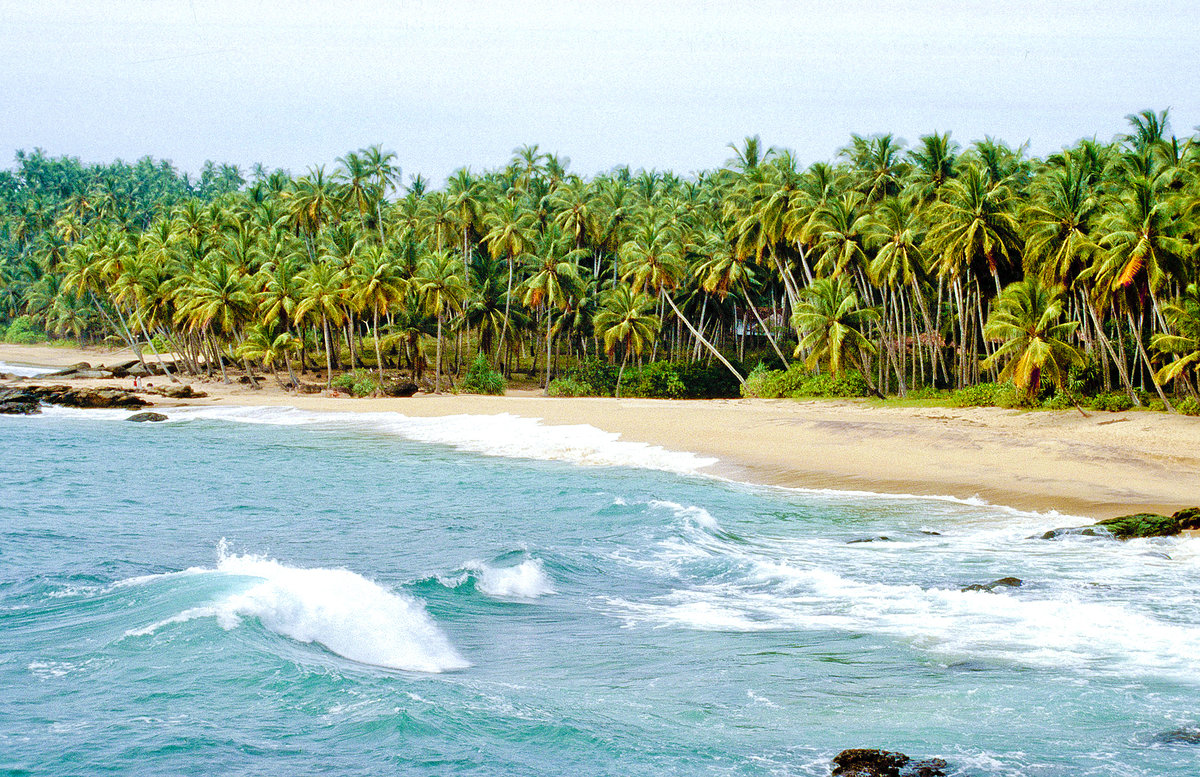 Palmenstrand bei Tangalle in Sri Lanka. Bild vom Dia. Aufnahme: Januar 1989.