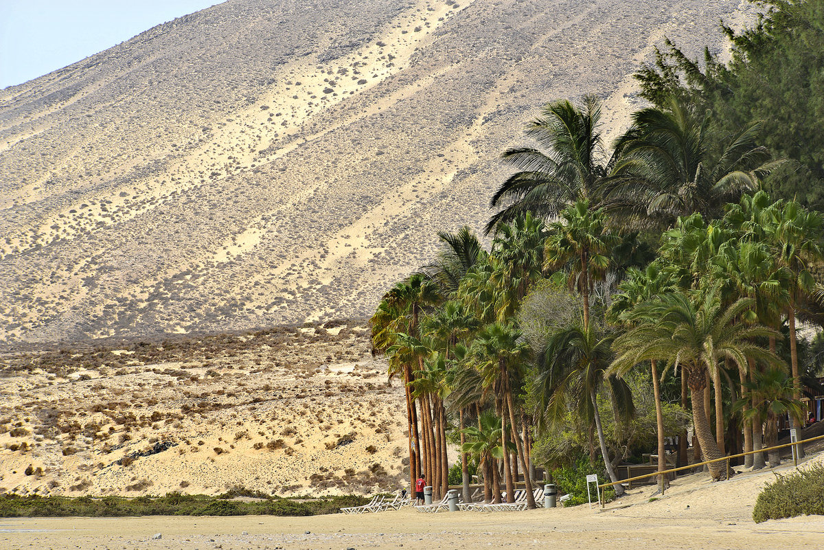 Palmenstrand südlich von Costa Palma auf der Insel Fuerteventura. Aufnahme: 16. Oktober 2017.