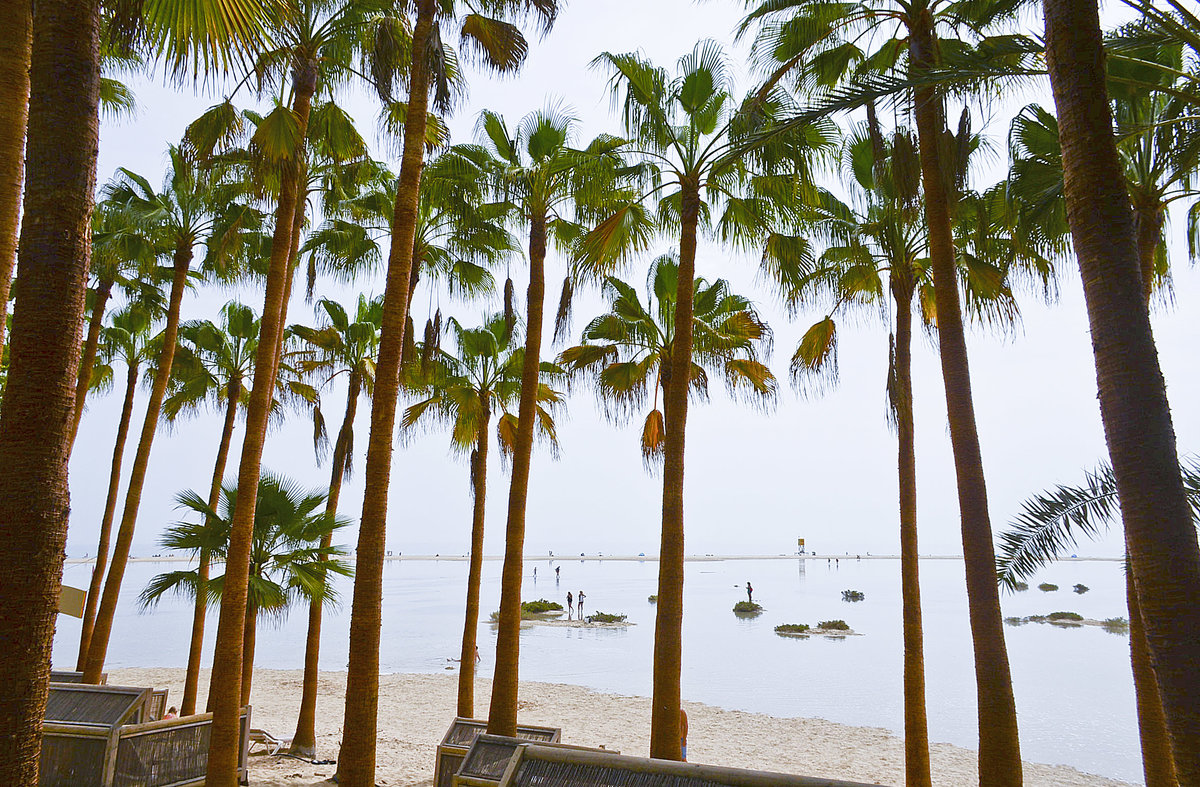 Palmenstrand vor Hotel Los Giorgiones auf der Insel Fuerteventura in Spanien. Aufnahme: 16. Oktober 2017.