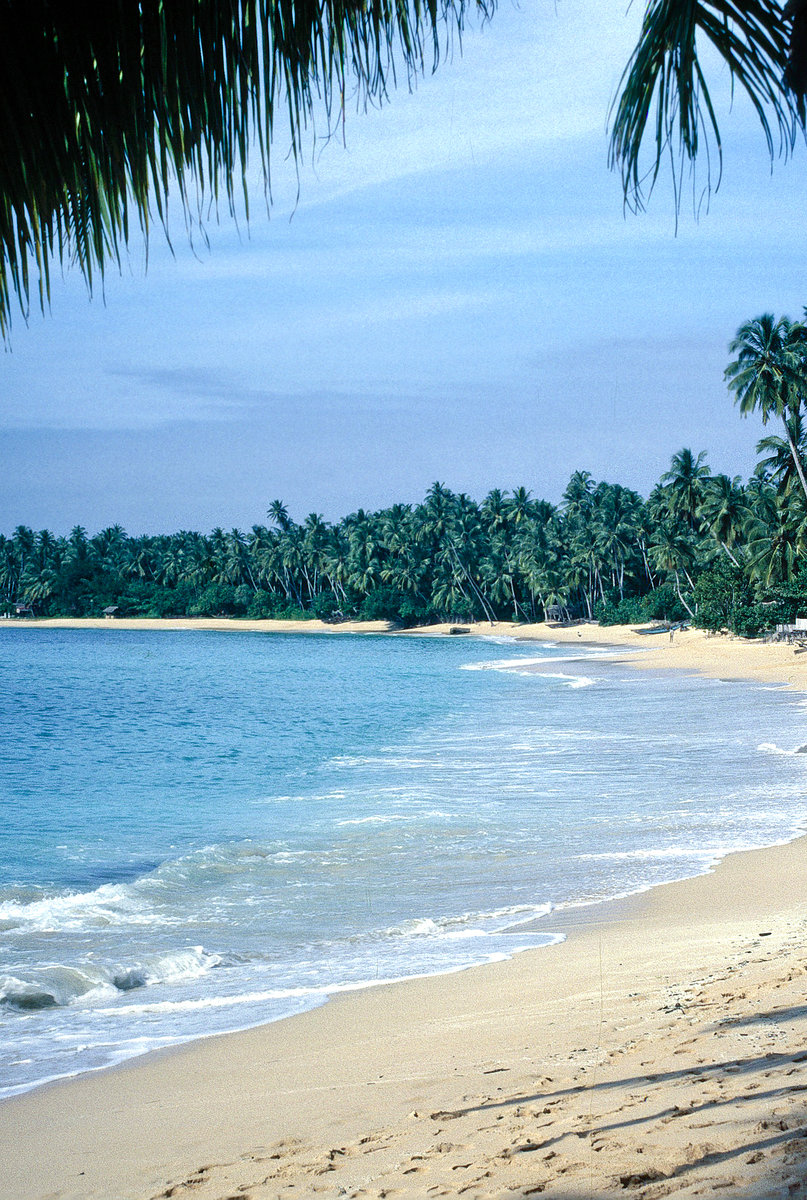 Palmenstrand vor Unawatuna südlich von Galle. Bild vom Dia. Aufnahme: Januar 1989.