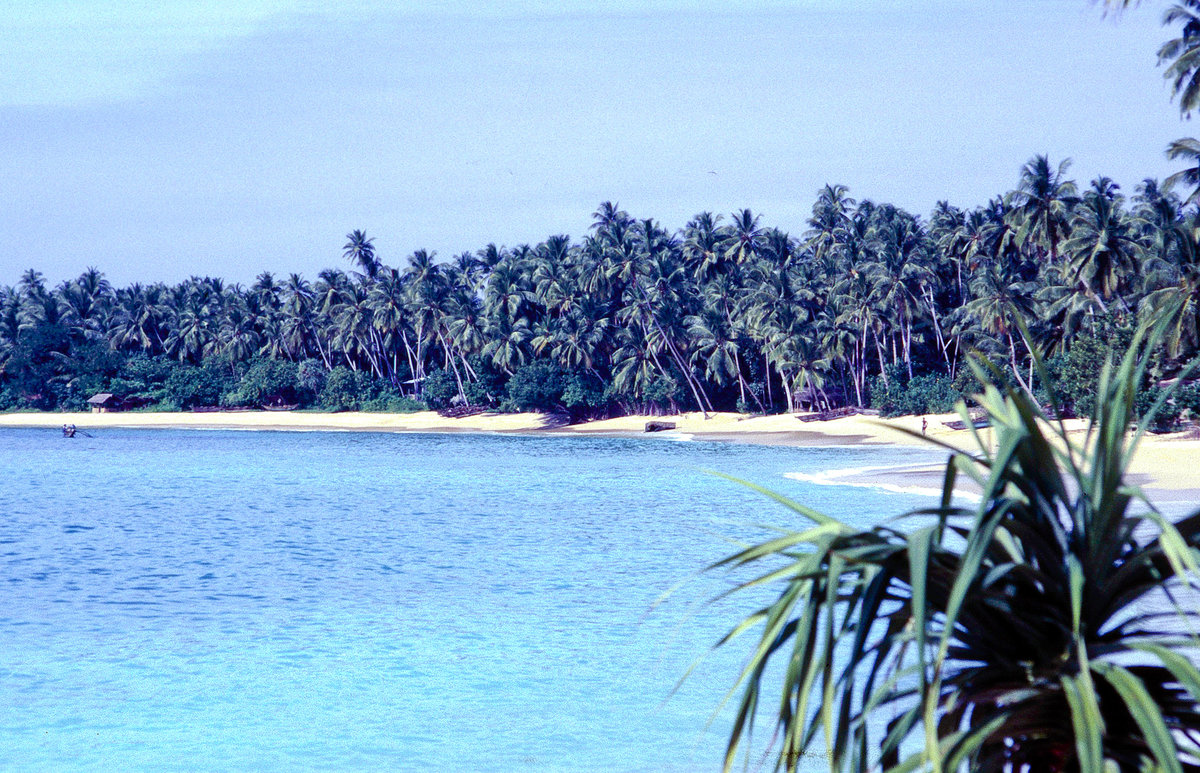 Palmenstrand vor Unawatuna südlich von Galle. Bild vom Dia. Aufnahme: Januar 1989.