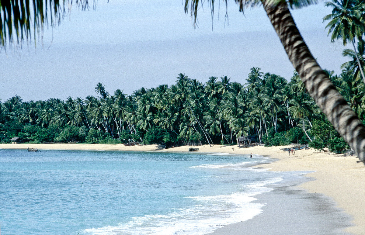 Palmenstrand vor Unawatuna südlich von Galle. Bild vom Dia. Aufnahme: Januar 1989.