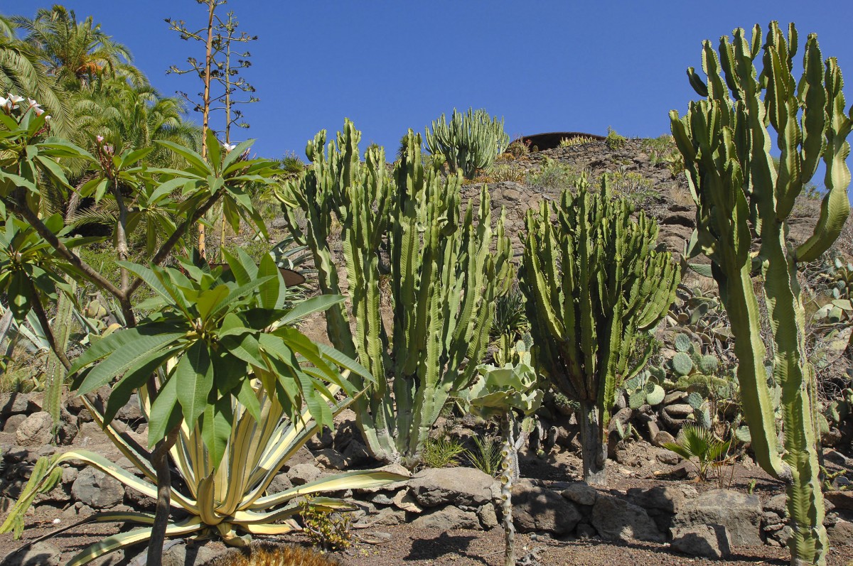 Palmitos Park - Gran Canaria. Aufnahme: Oktober 2009.