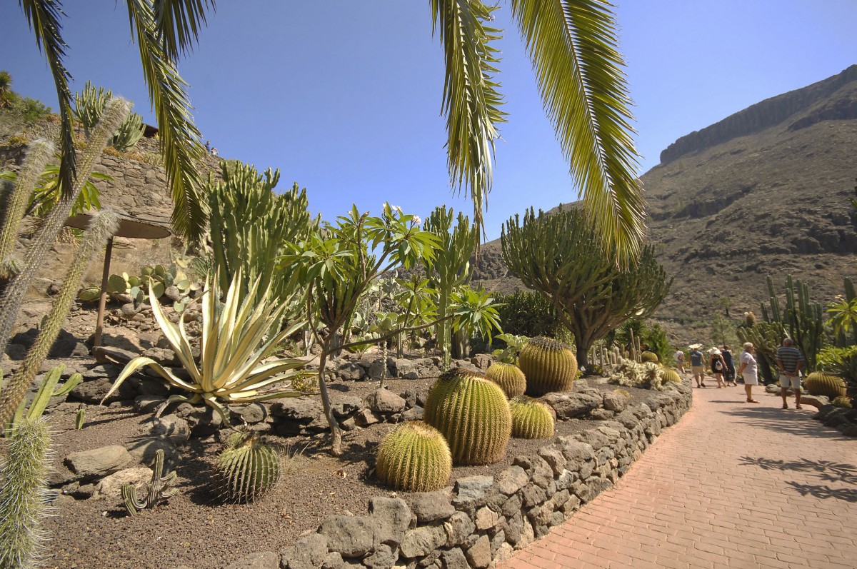 Palmitos Park - Gran Canaria. Aufnahme: Oktober 2009.