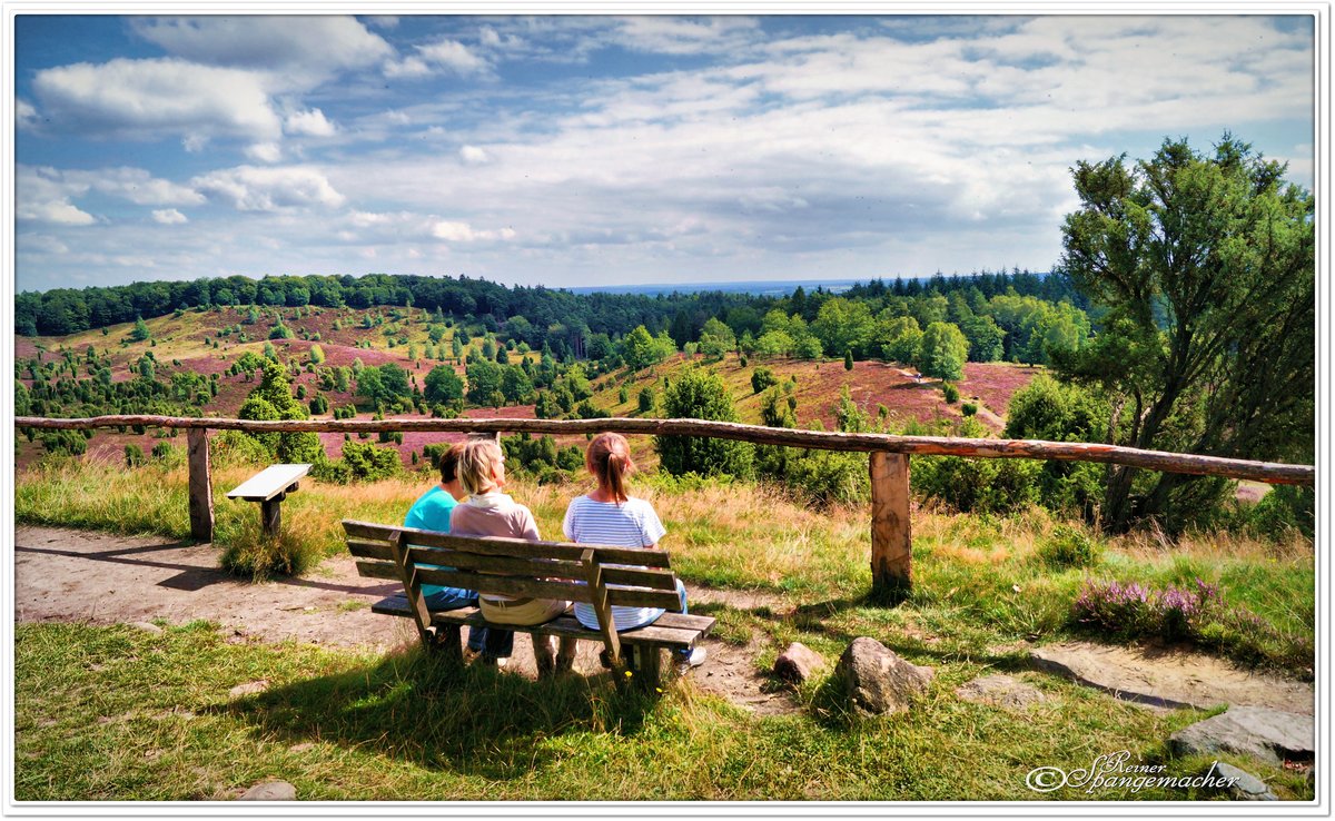 Panorama-Blick über den Totengrund in der Lüneburger Heide bei Wilsede. Mitte August 2016.