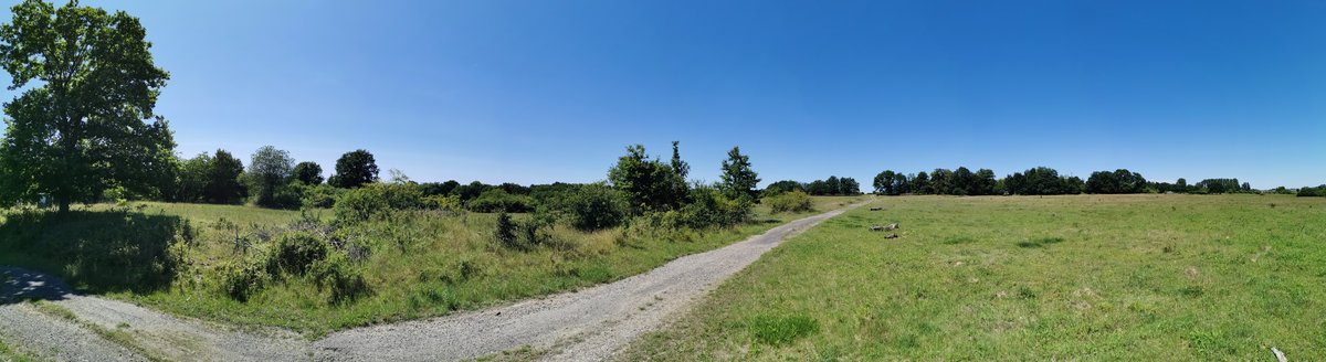 Panoramafoto von der Hohen Warte zwischen Gießen und Fernwald Annerod. Foto vom 24.06.2020.